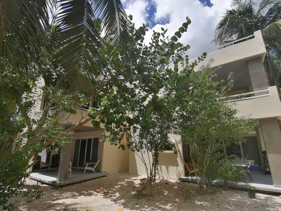Beachfront Next To Nomads D1 Apartamento Isla Mujeres