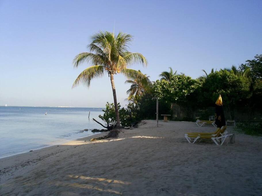 Apartamento Beachfront Next To Nomads D1