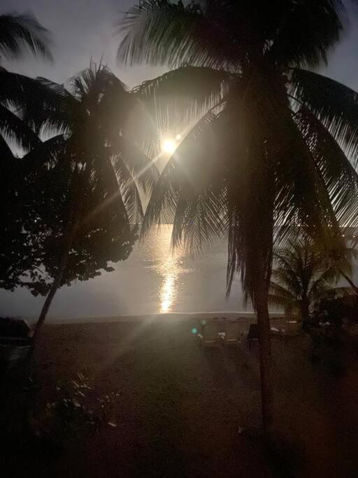 Beachfront Next To Nomads D1 * Isla Mujeres