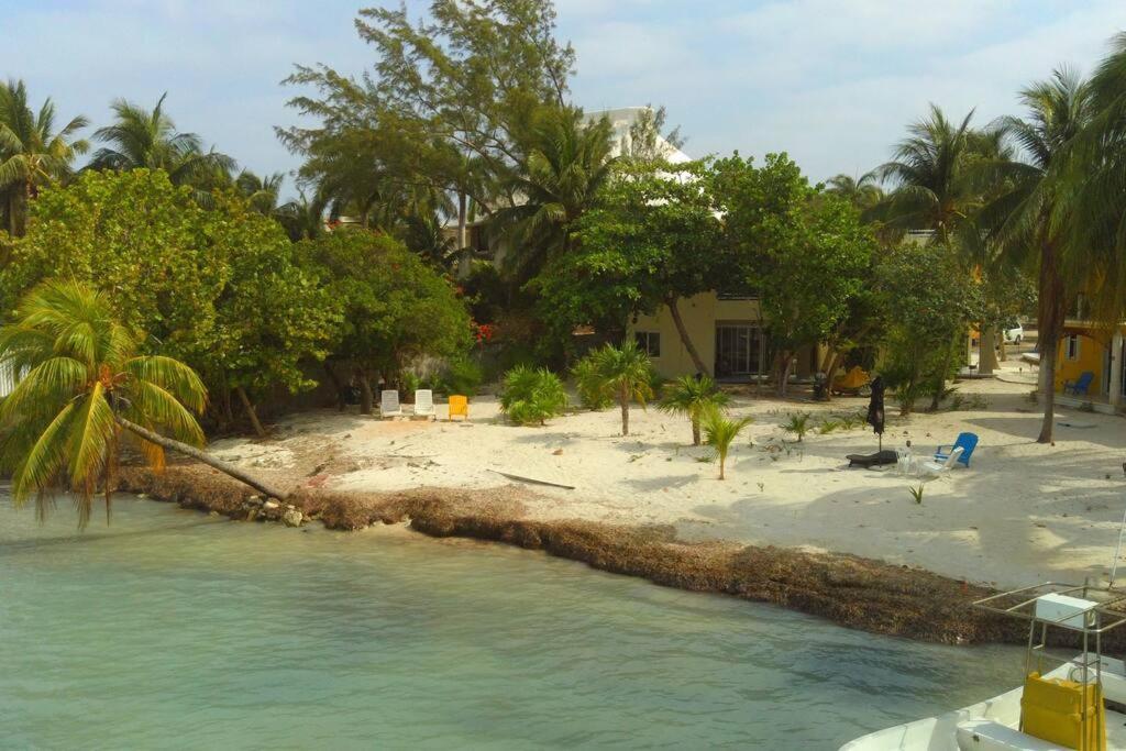 Apartamento Beachfront Next To Nomads D1 Isla Mujeres