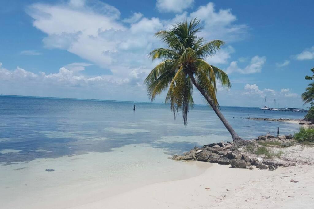 Beachfront Next To Nomads D1