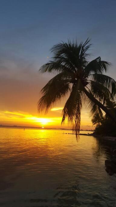 Apartamento Beachfront Next To Nomads D1 Isla Mujeres